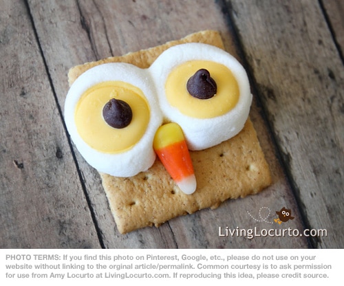 Owl Smores from Living Locurto