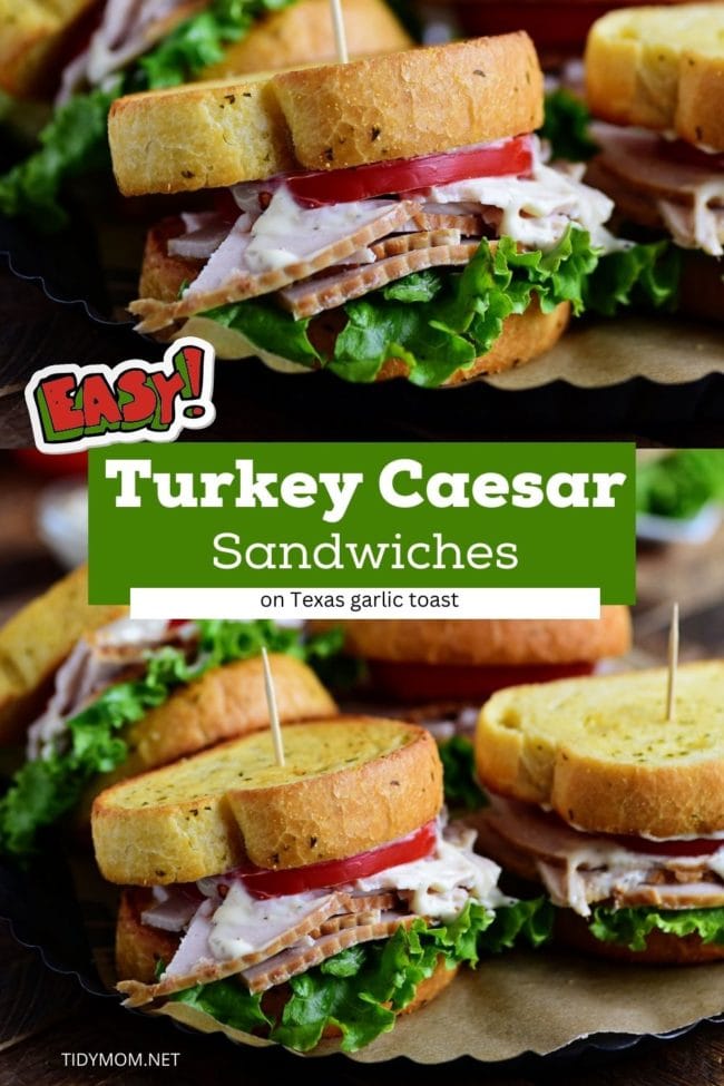 turkey sandwiches on garlic toast