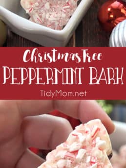 Peppermint bark is ridiculously easy to make.Use cookie cutters for Christmas Tree Peppermint Bark and you have an indulgent luxurious looking treat that’s great for gifting! Get directions and recipe at TidyMom.net