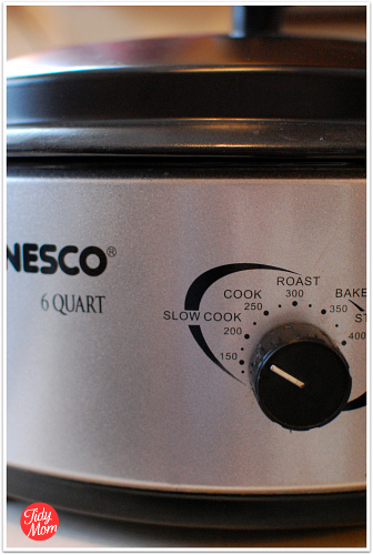 Nesco 6-Quart Stainless Steel Oval Slow Cooker at