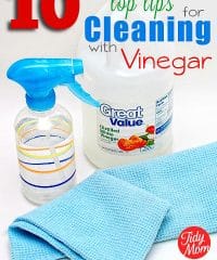 Vinegar could possibly be the only cleaning product you will ever need!! It's powerful, economical and best of all, natural! Get 10 Top Tips for Cleaning with Vinegar at TidyMom.net