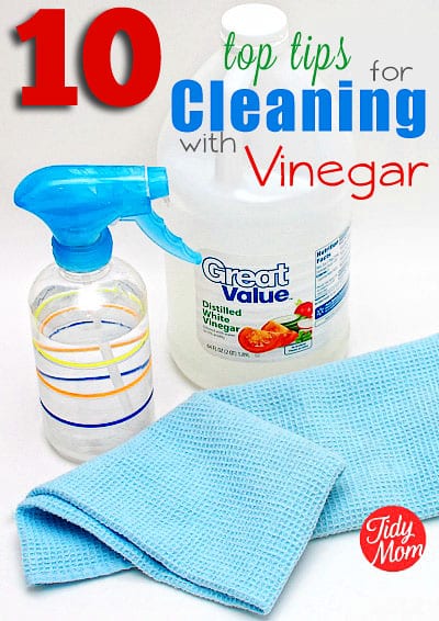 Vinegar could possibly be the only cleaning product you will ever need!! It's powerful, economical and best of all, natural! Get 10 Top Tips for Cleaning with Vinegar at TidyMom.net