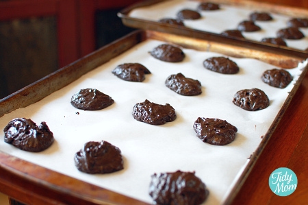 Low Fat Weight Watchers Recipe Chocolate Cookies