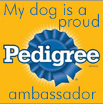 Pedigree Ambassdaor 