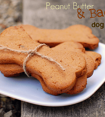 Homemade dog treats