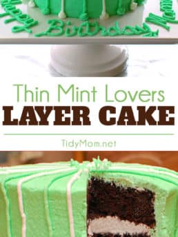 This easy and delicious Thin Mint Cake is perfect for the chocolate mint lovers! Click the image to get the recipe and learn about the unexpected ingredient that makes it extra moist!