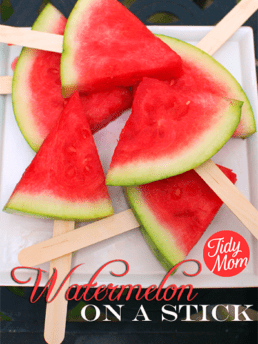 watermelon on a stick