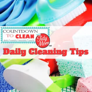 Countdown to Clean. Daily Cleaning Tips at TidyMom.net
