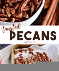 toasted pecans photo collage