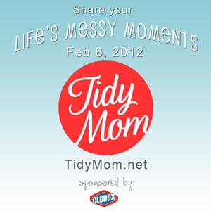 Life's messy momments with TidyMom