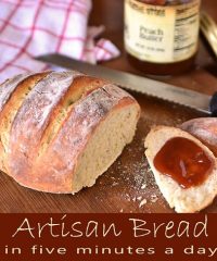 artisan bread in 5 minutes a day