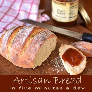artisan bread in 5 minutes a day