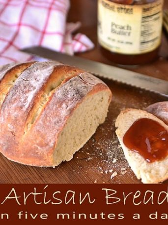 artisan bread in 5 minutes a day