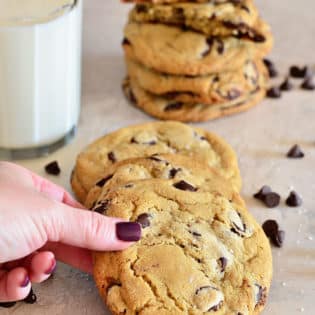 chocolate chip cookie with milk