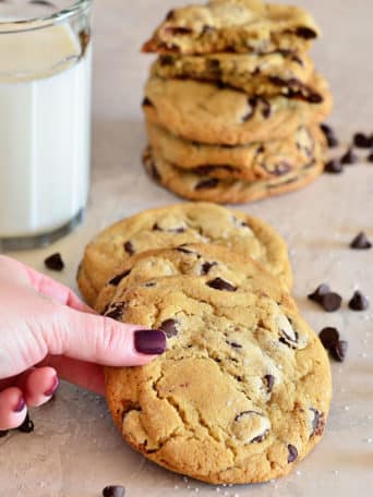 chocolate chip cookie with milk