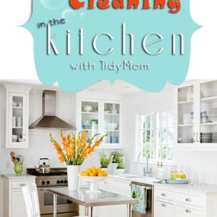 10 Spring Cleaning steps to get your kitchen health inspector clean! at TidyMom.net #housekeeping