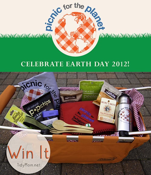 Picnic for the Planet Basket Giveaway