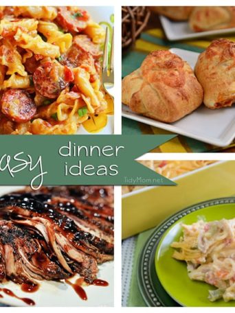 What's for dinner? I have two requirements for week night dinners: Easy & Quick Here are 17 QUICK AND EASY DINNER IDEAS