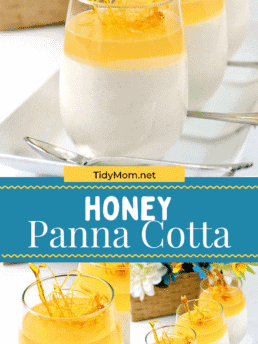 Honey Panna Cotta photo collage