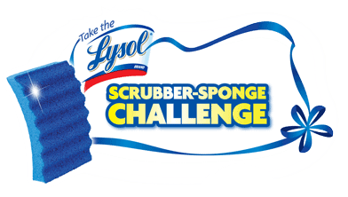 Lysol scrubber sponge challenge