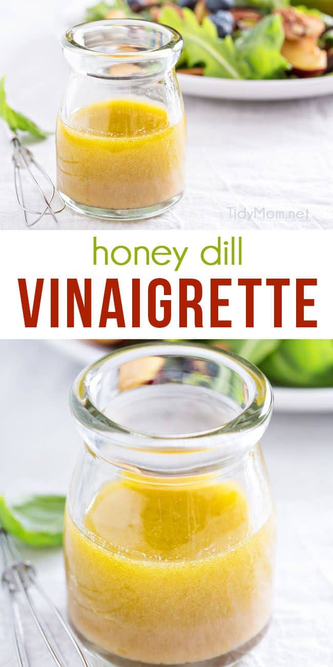 Apple Cider Vinegar Salad Dressing - Cookin Canuck