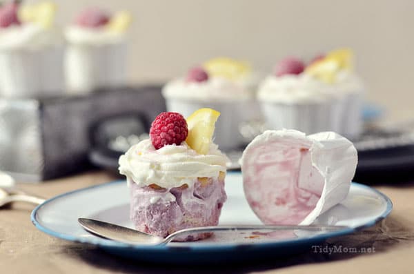Black Raspberry & Lemon Ice Cream Cupcake unwrapped at TidyMom