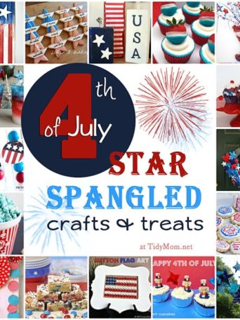 Star Spangled 4th of July Ideas at TidyMom.net