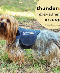 Thundershirt for dog anxiety at TidyMom.net