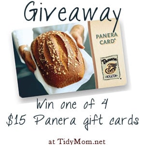 Win a Panera Gift Card at TidyMom.net