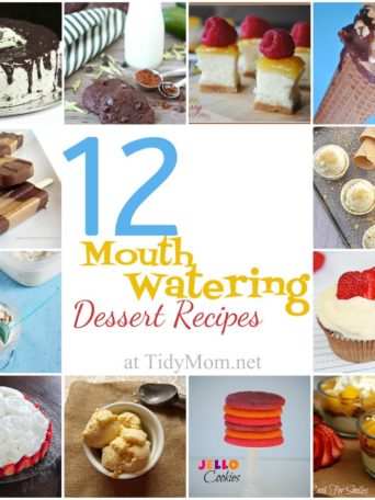 12 Mouth Watering Dessert Recipes at TidyMom.net