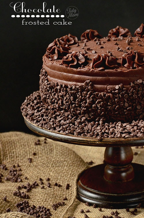 Healthy Chocolate Cake (Less than 100 Calories!) - The Big Man's World ®