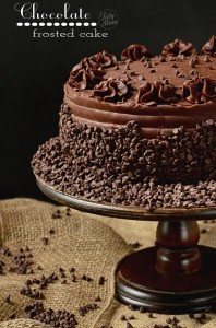 Chocolate Frosted Cake