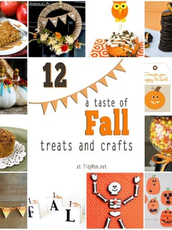 12 Fall treats and crafts at TidyMom.net
