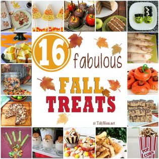 16 Fabulous Fall Treats at Tidy Mom.net