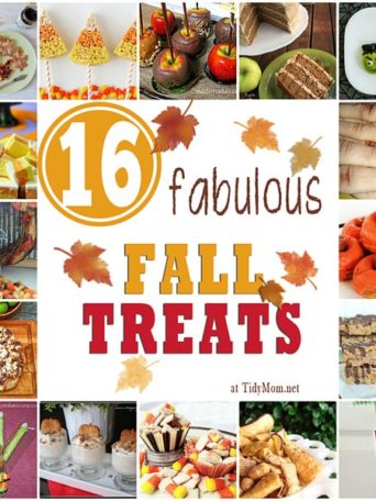 16 Fabulous Fall Treats at Tidy Mom.net