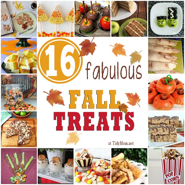 16 Fabulous Fall Treats at Tidy Mom.net