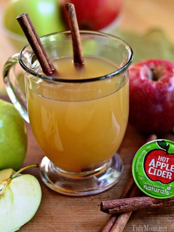 Green Mountain Hot Apple Cider K-cups at TidyMom.net