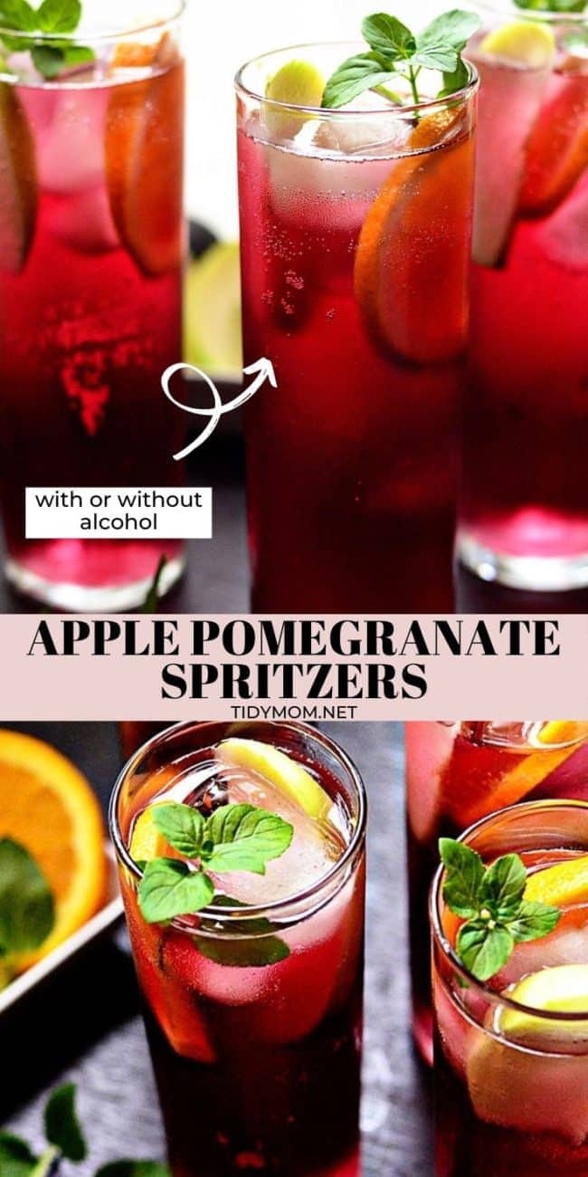 red Spritzers in tall glasses garnished with fruit slices