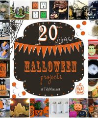 20 Spooky Halloween Projects at TidyMom.net