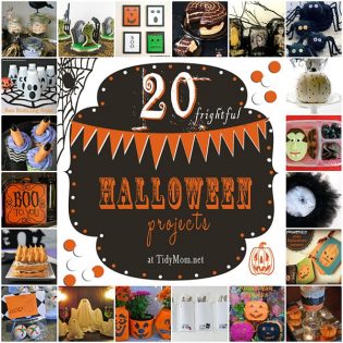 20 Spooky Halloween Projects at TidyMom.net