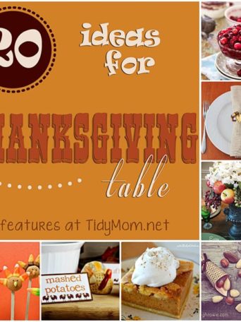 20 Ideas for Thanksgiving Table at TidyMom.net