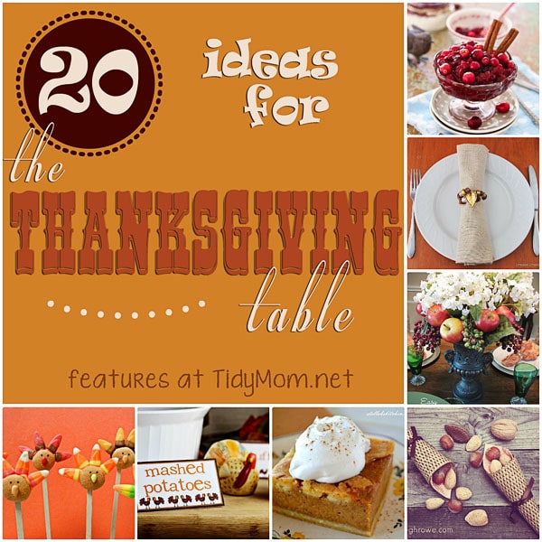 20 Ideas for Thanksgiving Table at TidyMom.net