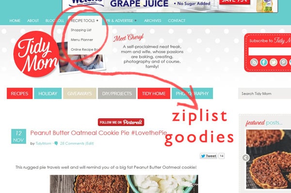 ziplist tools how to use at TidyMom.net