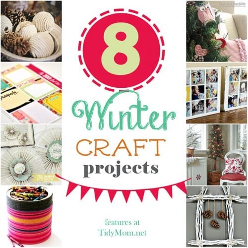 8 Winter Craft Ideas