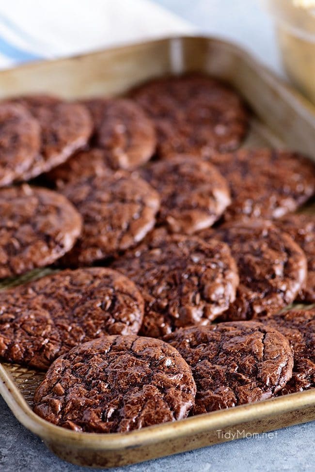 Cookie Dough Brownie Cookies with Chocolate Chip Frosting