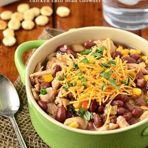 Chicken Chili Bean Chowder recipe at TidyMom