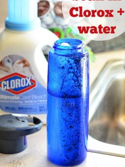 Clean mold with Clorox and water at TidyMom.net