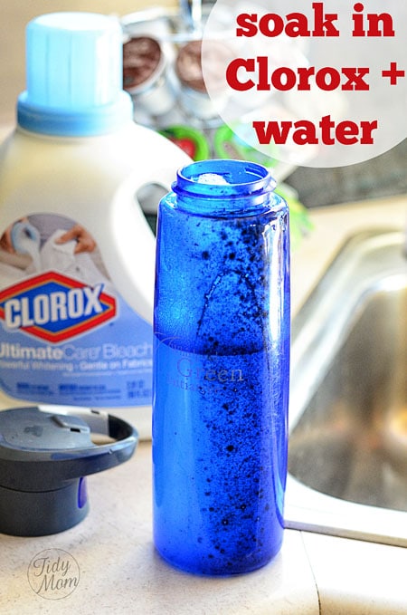 Clean mold with Clorox and water