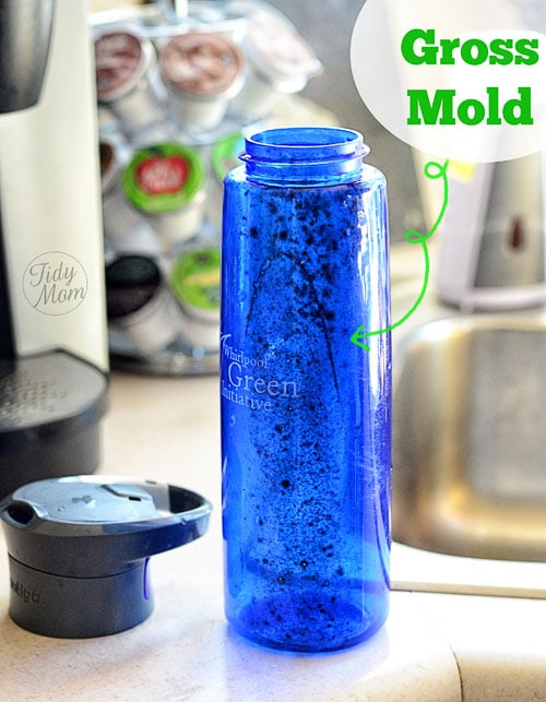 Mold in bottle
