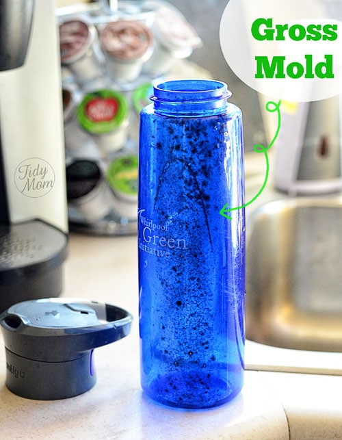 How to Keep Sippy Cups Clean & Mold-Free (7 Effective Tips)